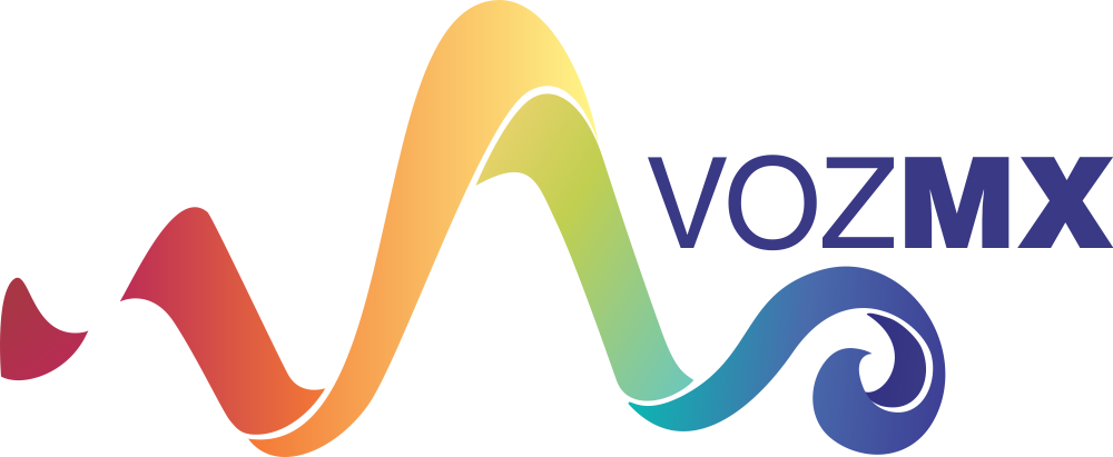 Voz MX Ingeniería